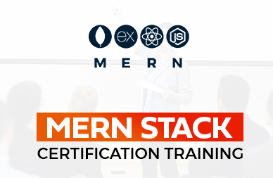 Stardeas experts guide you through comprehensive MERN curriculum