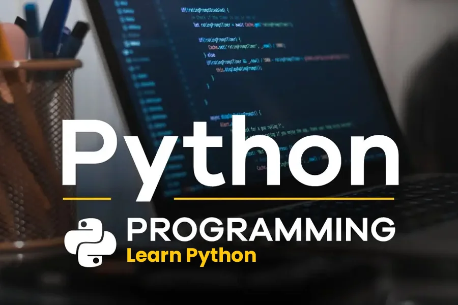 Stardeas delivers expert Python training with practical lessons on advanced programming concepts, optimizing development workflows